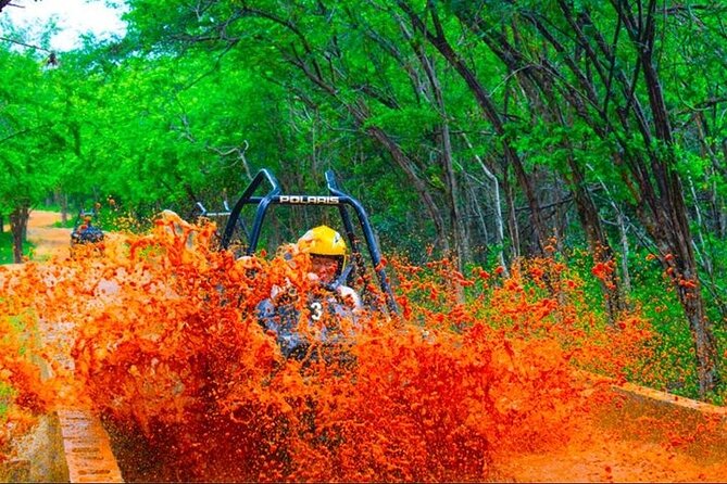 Jamwest: Zipline, Cultural Ride, and ATV Off-Road Adventure - The Rock Safari follows wetlands and spring ponds
