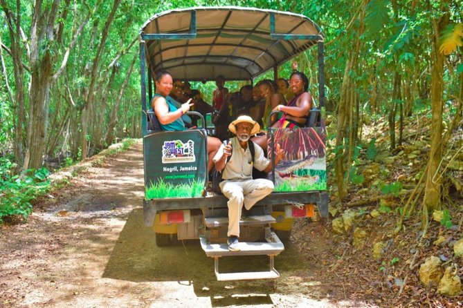 Jamwest: Zipline, Cultural Ride, and ATV Off-Road Adventure - The Reggae Zip-Line Challenge begins from a 60-foot tower