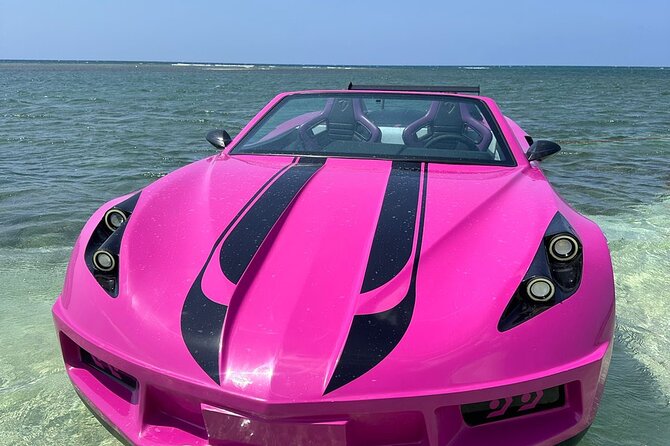 Jet Cars in Montego Bay and Private Transportation - Coastal views, photos, and possible marine life