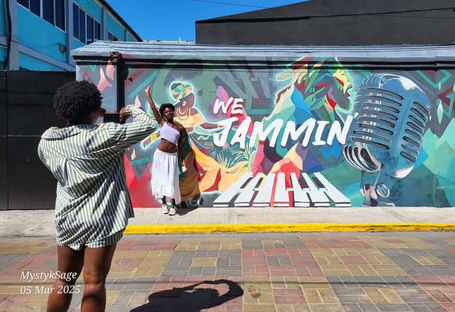 Kingston: Rhythmic Walking Music Tour - Kingston’s Art District, with music in the walls