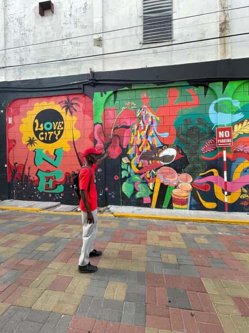 Kingston: Walking Tour with Mural Exploration - The Art District, where walls carry the conversation