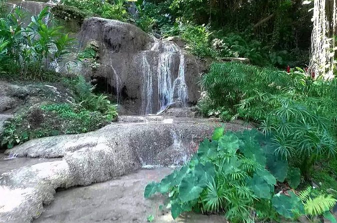 Konoko Falls and Tropical Garden Tour from Ocho Rios - Private transport makes a short tour easier