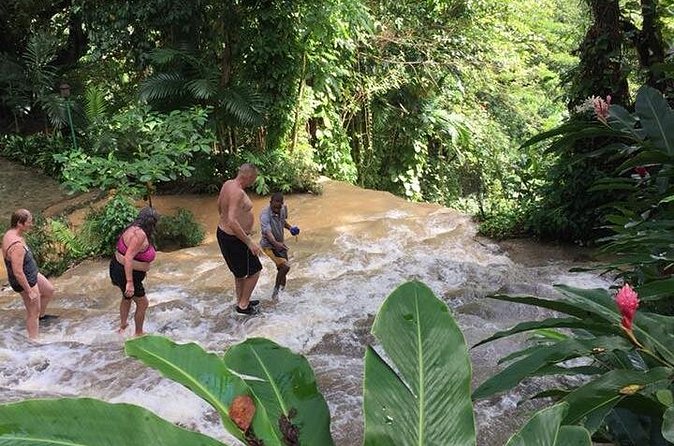 Konoko Falls and Tropical Garden Tour from Ocho Rios - Who will enjoy this three-hour outing?