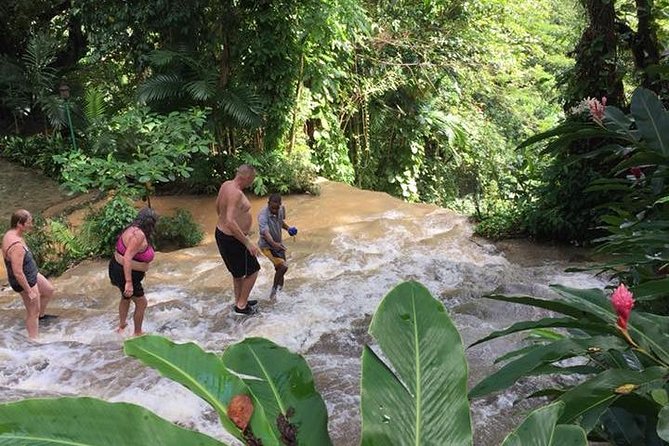 Konoko Falls and Tropical Garden Tour from Ocho Rios - What to pack for the gardens and falls