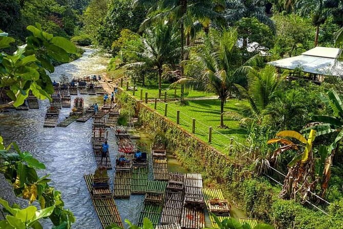 Lethe Bamboo River Rafting Tour - Jamaica's Vibest River - Timing, privacy, and who will enjoy it