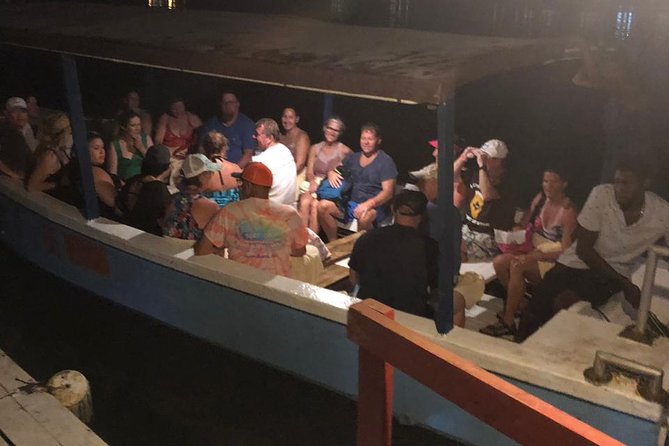 Luminous Lagoon After Dark Tour - Boat Comfort and Safety Considerations