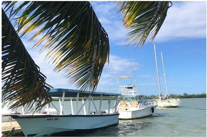 Luminous lagoon Dark night Tour from Ocho Rios and Runaway Bay Hotels - Price, length, and overall value