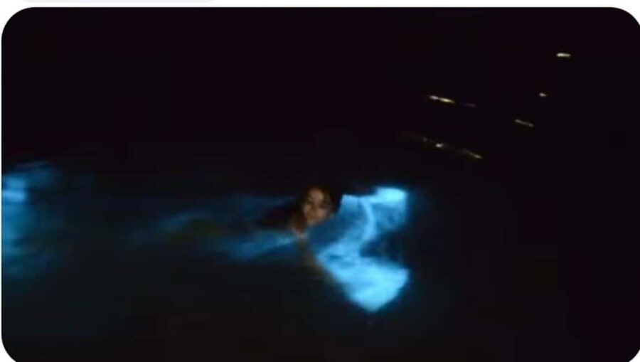 Luminous Lagoon Experience: Ocho Rios Runaway Bay & Falmouth - Why the Luminous Lagoon Feels Like a Natural Light Show
