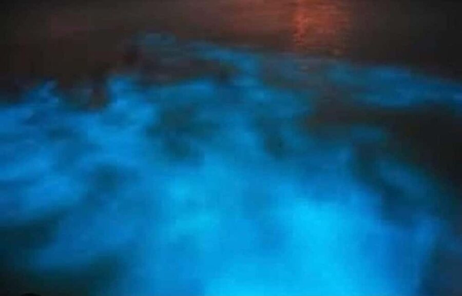 Luminous Lagoon Experience: Ocho Rios Runaway Bay & Falmouth - Boarding the Boat at the Luminous Lagoon