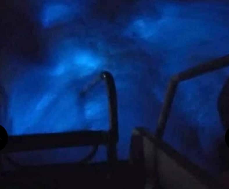 Luminous Lagoon Experience: Ocho Rios Runaway Bay & Falmouth - The Best and Worst Conditions for the Glow
