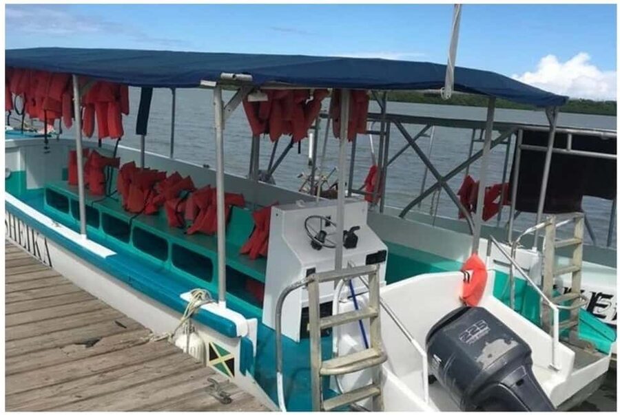 Luminous Lagoon Experience: Ocho Rios Runaway Bay & Falmouth - Who Will Enjoy This Three-Hour Outing
