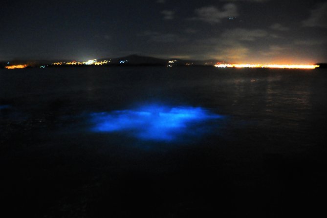 Luminous Lagoon "Glistening Waters" Tour from Grand Palladium Resorts - The boat ride and the search for the glow
