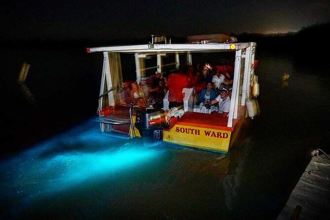 Luminous Lagoon Glow in the Dark Boat Tour from Montego Bay - What Your Driver Adds to the Experience