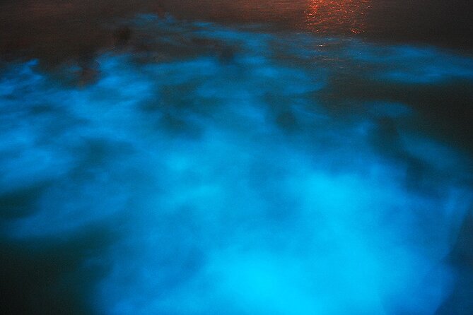Luminous Lagoon Night Cruise From Montego Bay - What happens at Glistening Waters Restaurant and Marina
