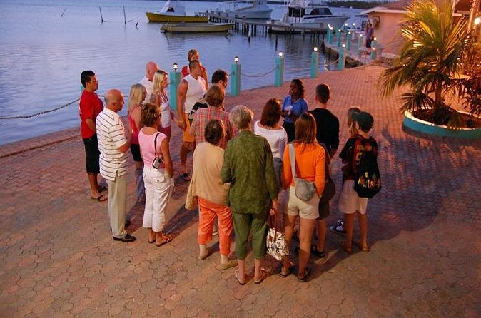 Luminous Lagoon Night Cruise From Montego Bay - Swimming, safety, and what to bring