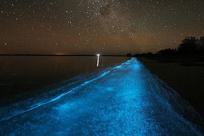 Luminous Lagoon Night-Time Tour from Montego Bay - Who will enjoy this night tour most?