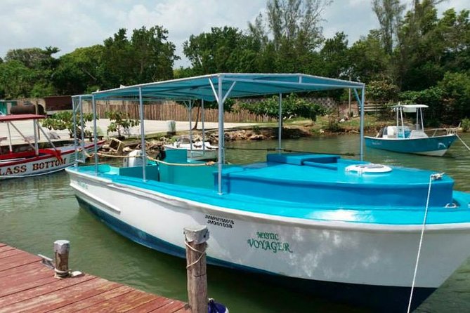 Luminous Lagoon Night-Time Tour from Montego Bay - The private-tour wording deserves attention