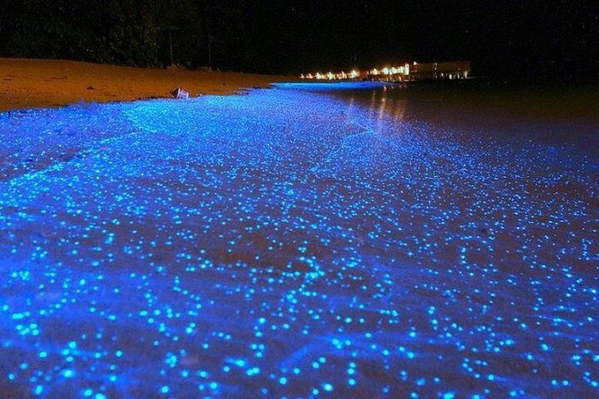 Luminous Lagoon Night-Time Tour from Montego Bay - The 10-minute ride out to the glowing water
