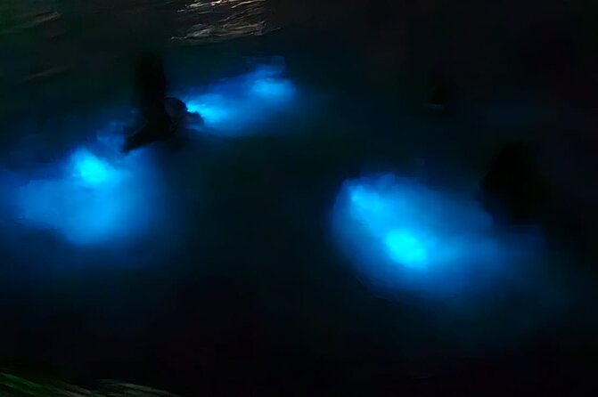 Luminous Lagoon Night Tour and Swim/Fire Dance from Montego Bay - Key Points to Know