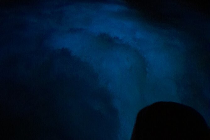Luminous Lagoon Night Tour and Swim/Fire Dance from Montego Bay - Swimming in Dark Water