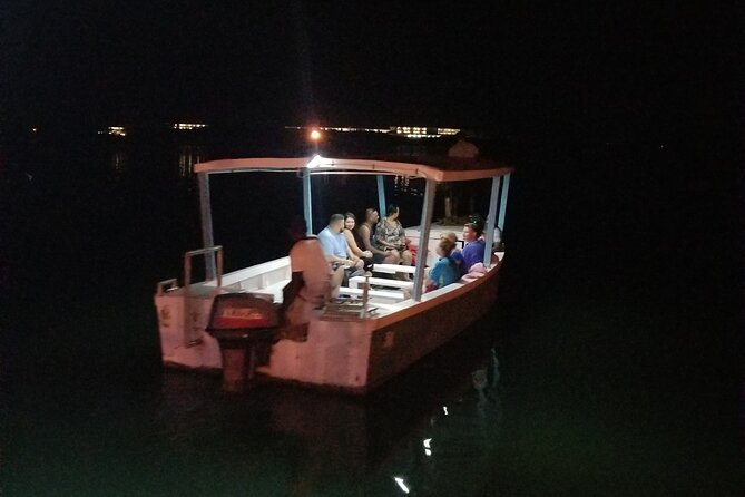 Luminous Lagoon Night Tour from Montego Bay - What swimming in the lagoon is really like