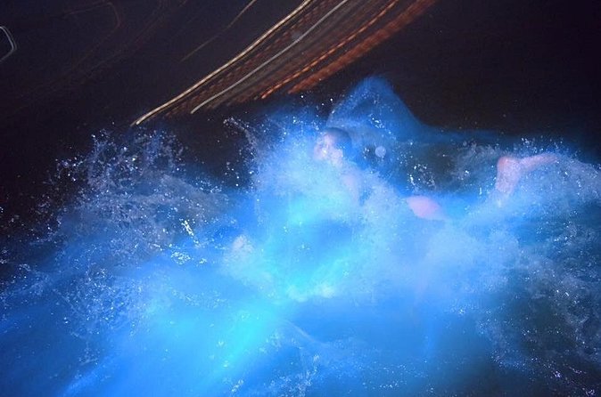 Luminous Lagoon Night Tour from Ocho Rios - Who will enjoy this Ocho Rios evening
