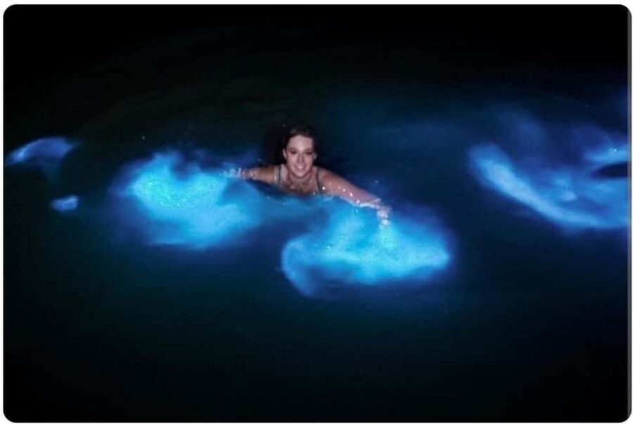 Luminous lagoon : Night Tour from Ocho Rios and Runaway Bay - Key points to know before booking