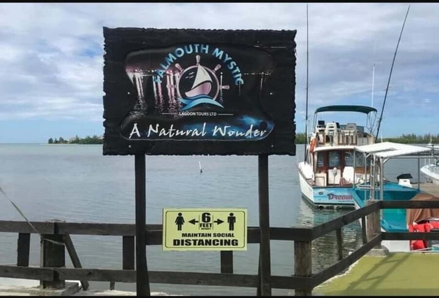 Luminous lagoon : Night Tour from Ocho Rios and Runaway Bay - The small details that shape the evening
