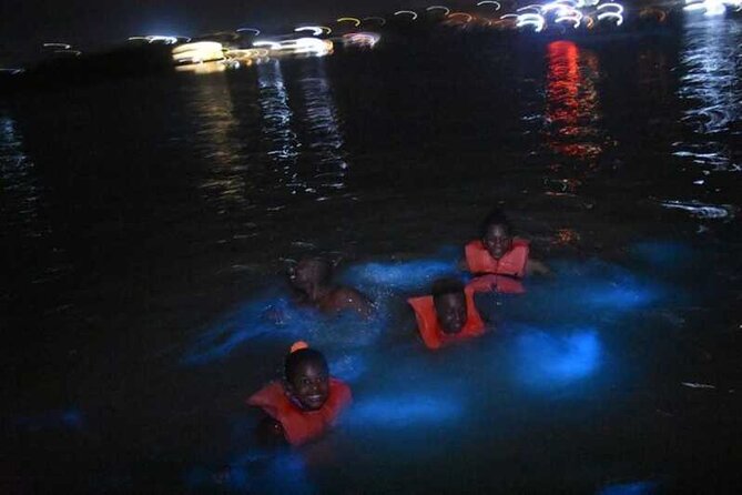 Luminous lagoon Night Tour Montego Bay - Why the Luminous Lagoon glows after dark