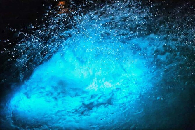 Luminous lagoon Night Tour Montego Bay - Swimming in the luminous water