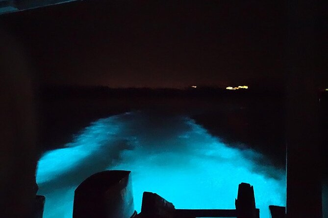 Luminous lagoon Night Tour Montego Bay - Fire show and local stories