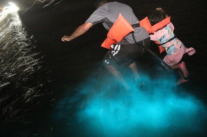 Luminous lagoon Night Tour Montego Bay - What the $75 price includes