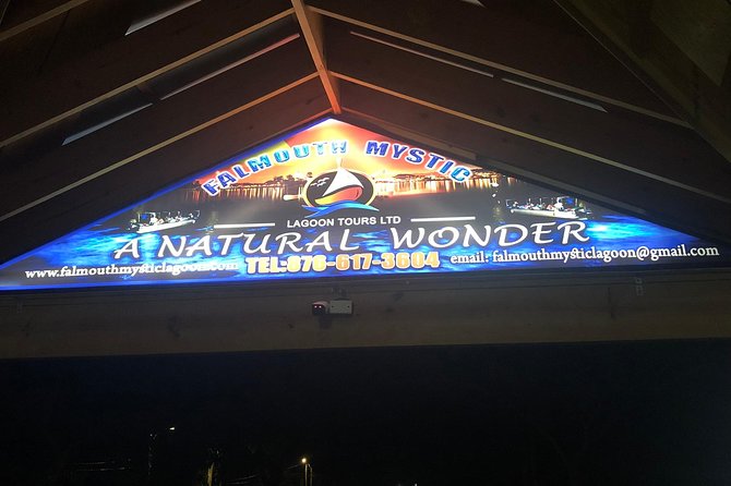 Luminous Lagoon Private Tour - Why private transport matters from Negril