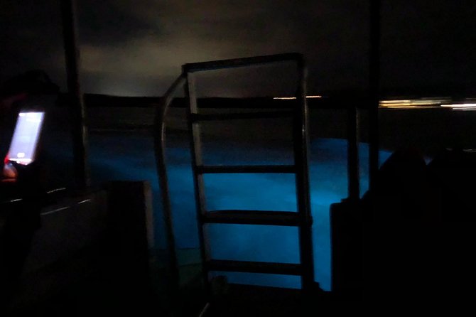 Luminous Lagoon Private Tour - The price makes sense for a small group