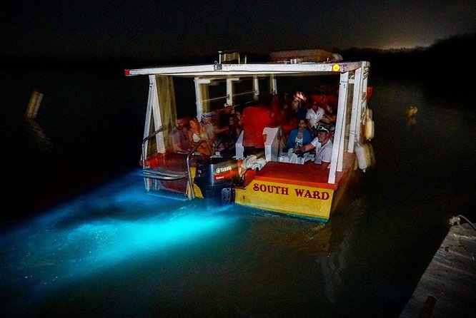 Luminous Lagoon Small Group Tour from Montego Bay - Swimming in the glowing water