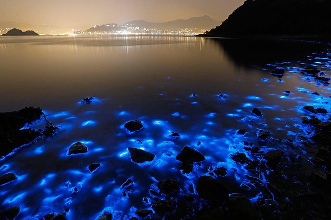Luminous Lagoon Small Group Tour from Ocho Rios - Key points before you book