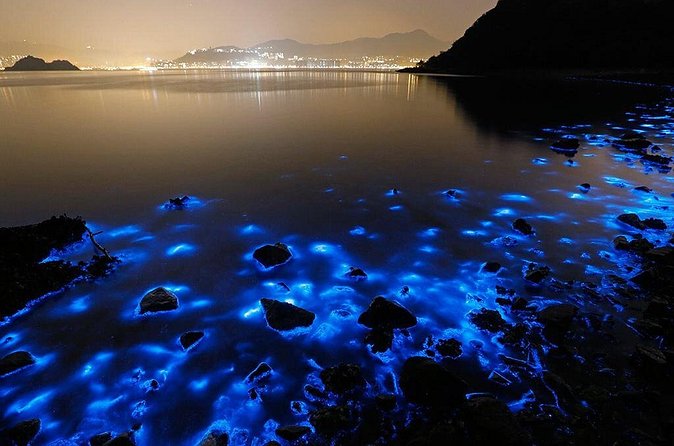 Luminous Lagoon Small Group Tour from Ocho Rios - The small-group question