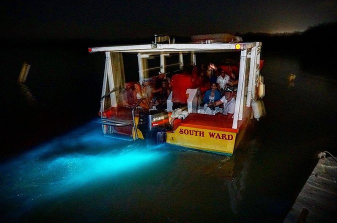 Luminous Lagoon Small Group Tour from Ocho Rios - Is swimming required?