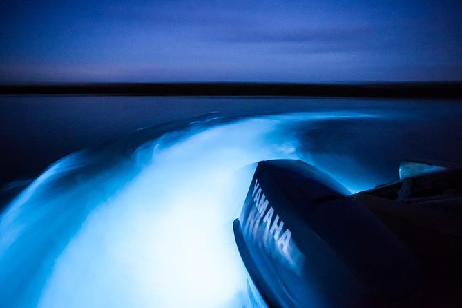 Luminous Lagoon Tour from Montego Bay - Leaving Montego Bay at 6:00 p.m.