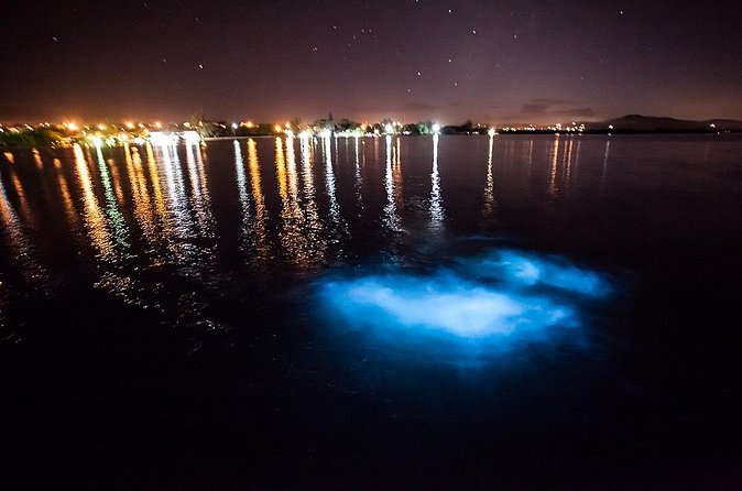 Luminous Lagoon Tour from Montego Bay - Watching from the boat or swimming in the lagoon