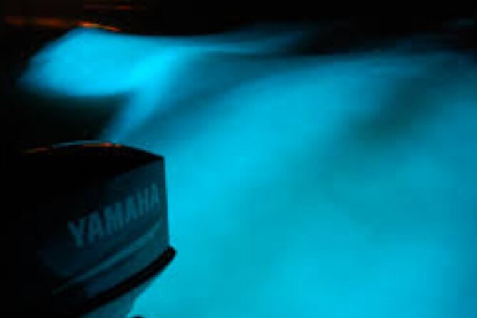 Magical Luminous Lagoon Private Tour - Why the private format can be worth the price