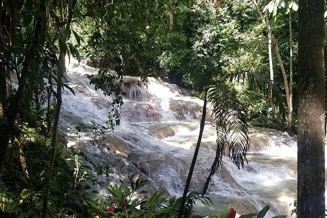 Martha Brae and Dunn’s River Falls Day Tour - What the private driver adds