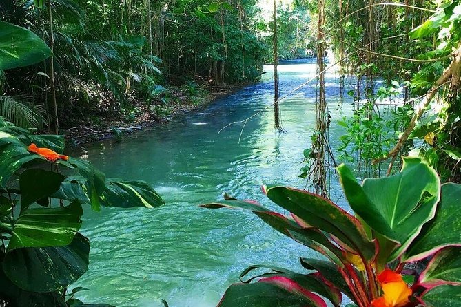 Martha Brae Rafting Adventure - What to bring and how to plan your time