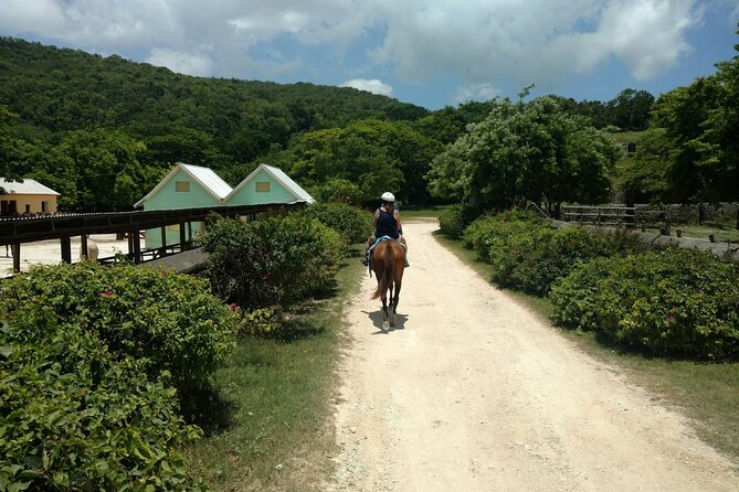 Martha Brae Rafting, Horseback Riding and Luminous Lagoon - Triple Treat - Why this Jamaican triple tour works