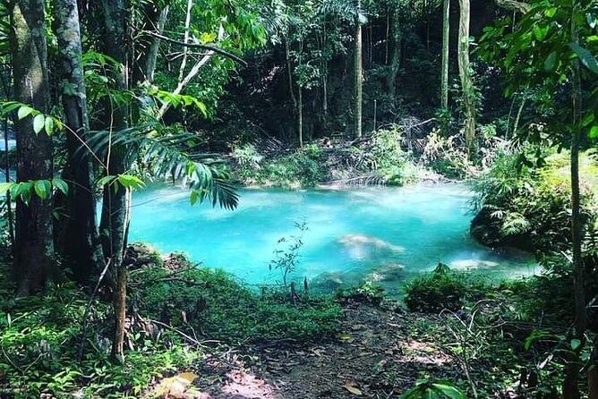 Mayfield Falls, Blue Hole & Rick's Café Tours/Weed Farm option - Rick’s Café brings a slower final stop