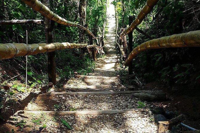 Mayfield Falls, Blue Hole & Rick's Café Tours/Weed Farm option - The Blue Hole offers a choice at 22 feet