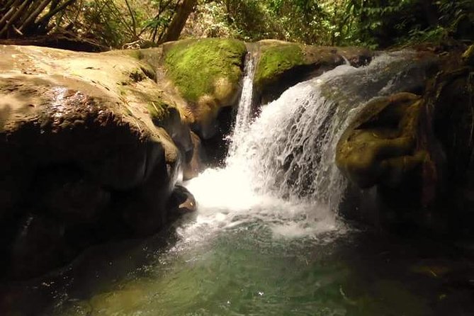 Mayfield Falls nature walk - Key points before you book