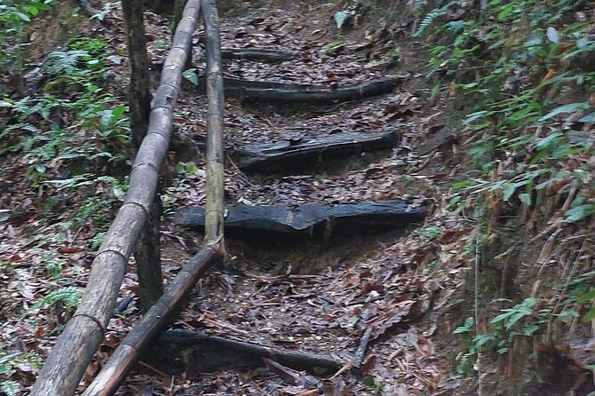 Mayfield Falls nature walk - Why the private format changes the day