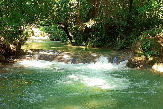 Mayfield Falls nature walk - Arriving at Mayfield Falls and meeting the river guide