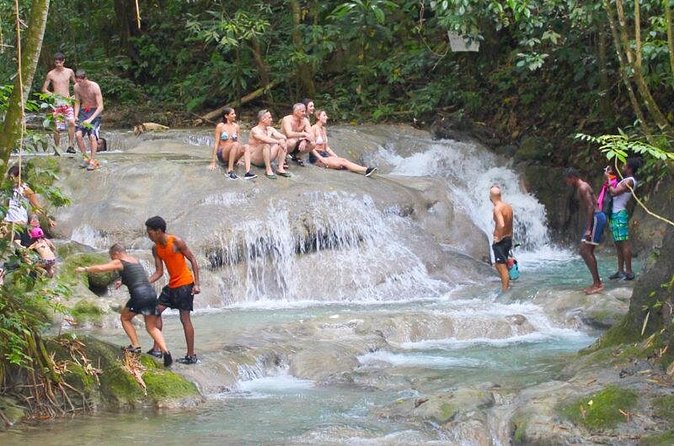Mayfield Falls Private Tour - Should you book this Mayfield Falls tour?
